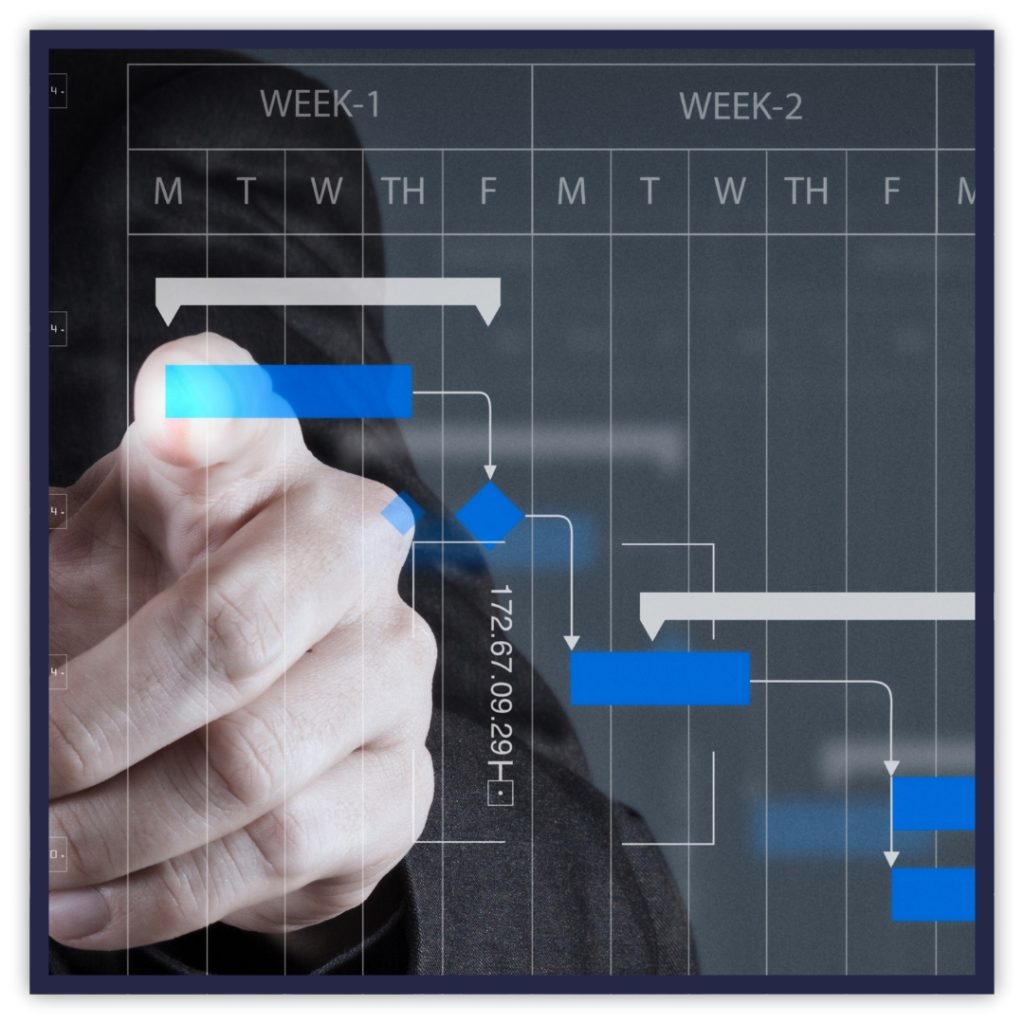 image of a life pattern